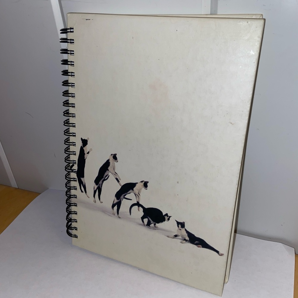 90s Journal dancing with cats notebook 1999 cat art spiral lined chronicle books